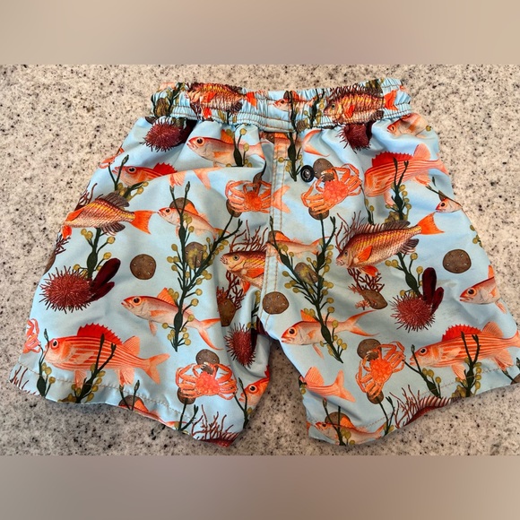Krio Color Toddler Boy Swim Trunks 12-18 months - Picture 5 of 6